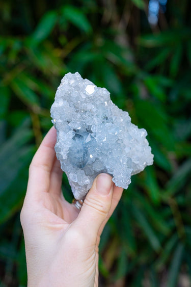 Celestite Cluster